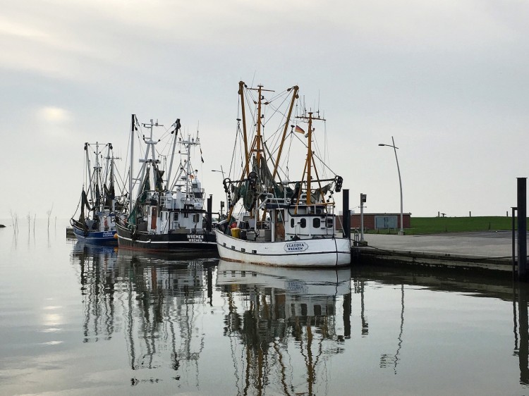 hafen wremen Hotel Deichgraf