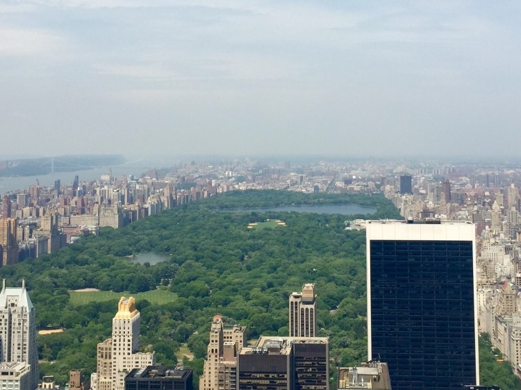 central_park_project_excavated (2)