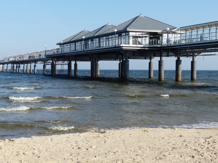 Digital-Detox Suelovesnyc