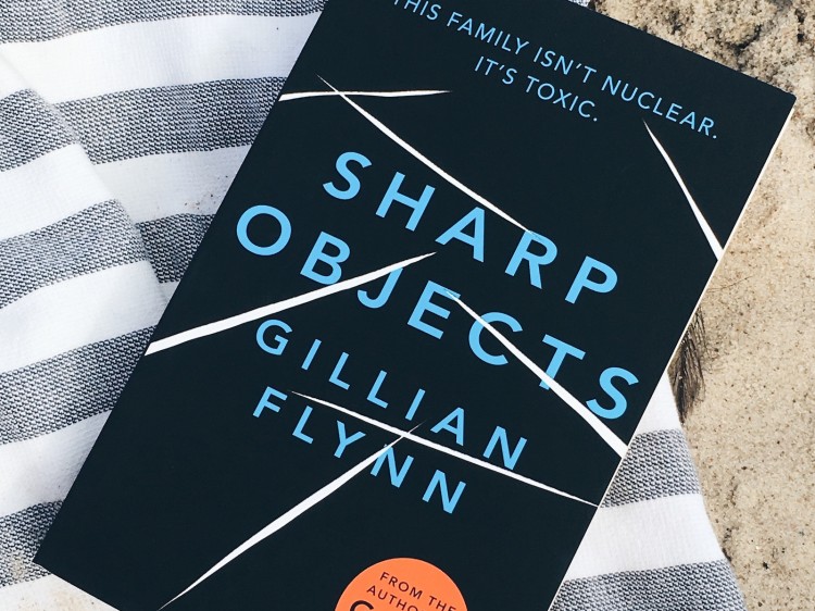 Suelovesnyc Susan Fengler Blog Buch-Tipps