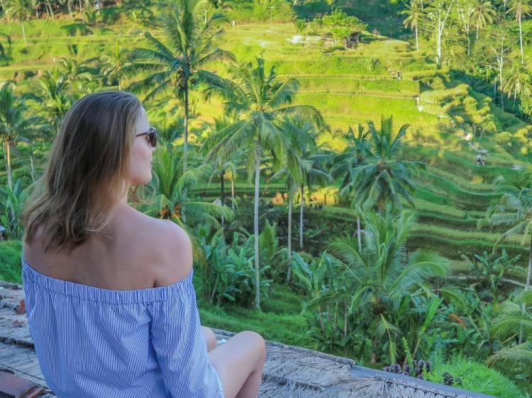 suelovesnyc gönnen können