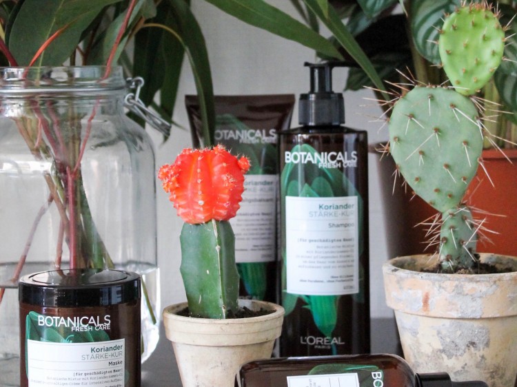 suelovesnyc_susan_fengler_blog_hamburg_botanicals_koriander_shampoo_test botanicals fresh care l'oréal paris erfahrungsbericht