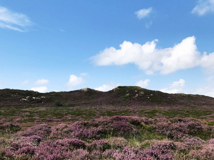 suelovesnyc_Sylt_Ellenbogen_List_auf_Sylt_reise_tipps_48h_wochenendtrip_kurzurlaub Sylt Kurzurlaub