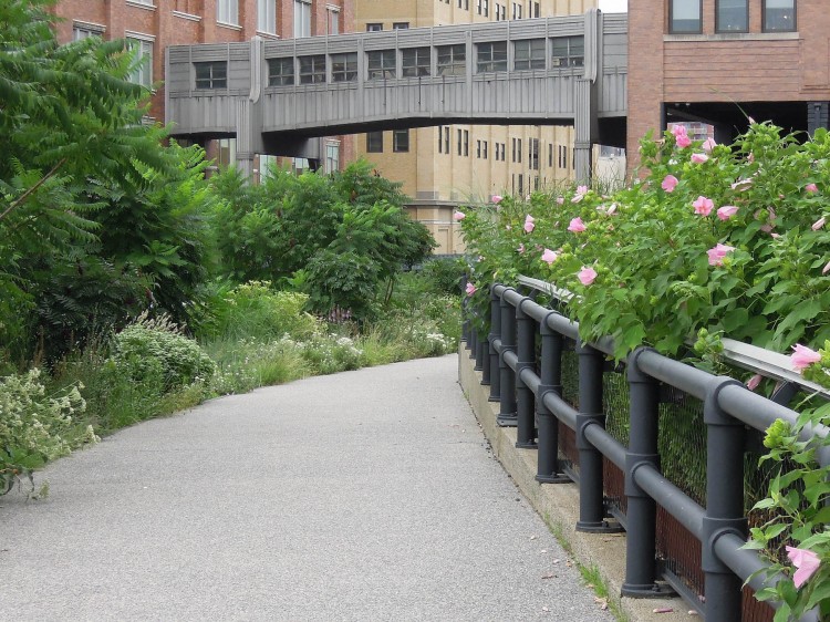 suelovesnyc_blog_the_highline_park_new_york_city the highline park New York
