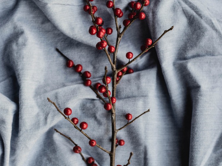 entspannt durch die Weihnachtszeit suelovesnyc_blog_hamburg_susan_fengler_entspannt_durch_die_weihnachtszeit