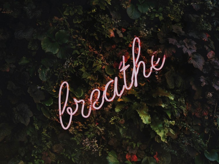 durchatmen suelovesnyc_weekly_update_wochenruckblick_hamburg_breathe_atmen