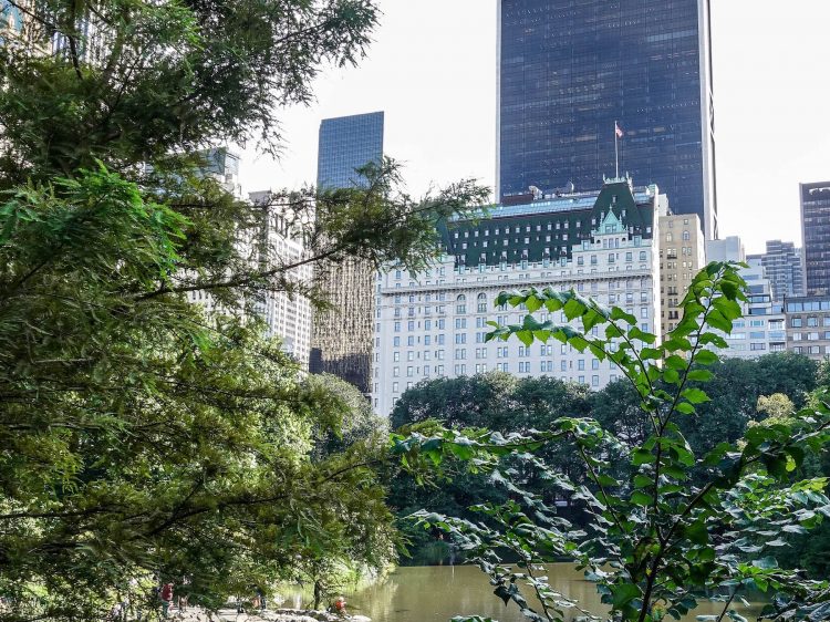 Film-Drehorte in New York suelovesnyc_serien_und_film_drehorte_in_new_york_City_das_plaza