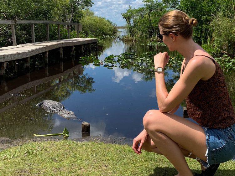 Florida everglades alligator suelovesnyc_everglades_florida_alligator