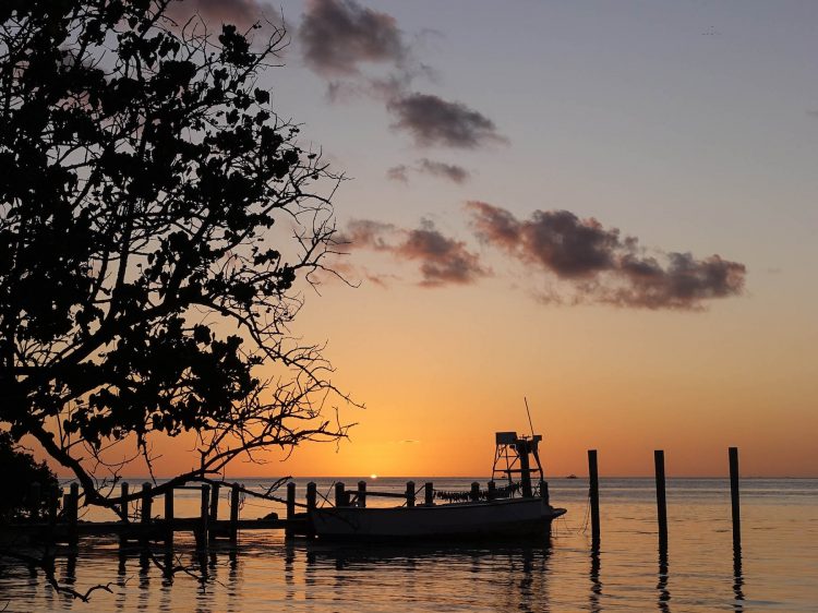 Achtsamkeit suelovesnyc_Achtsamkeitstraining_kolumne Achtsamkeitstraining