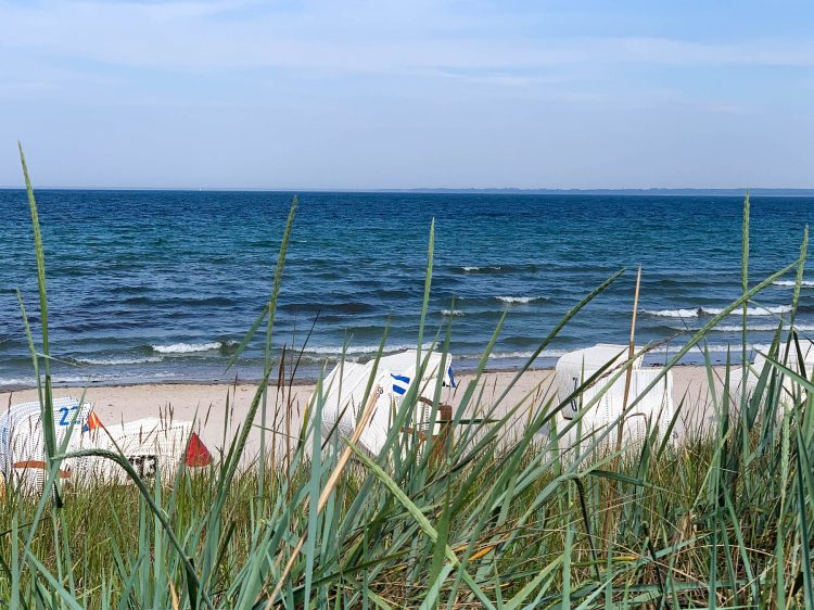 Tag am Meer suelovesnyc_weekly_update_1_tag_am_meer_ostsee_scharbeutz
