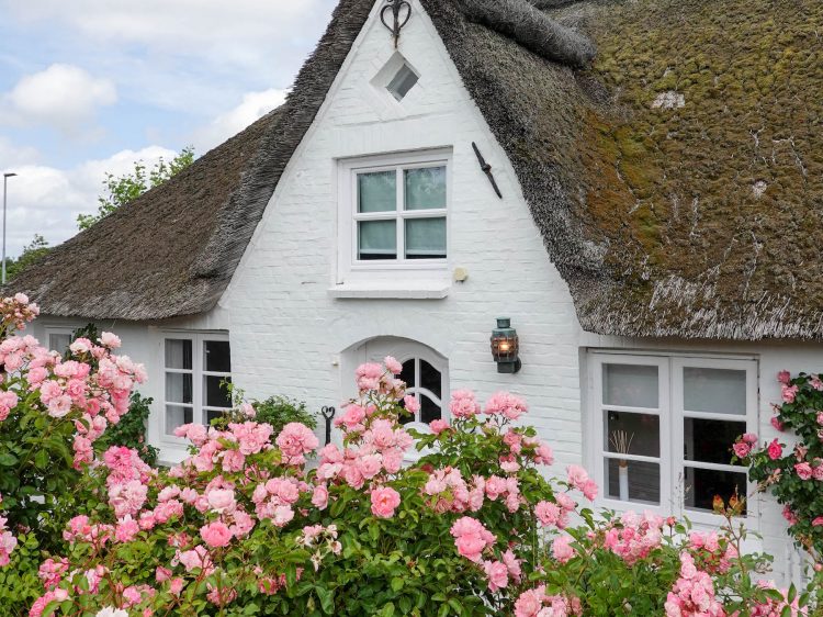 Nordsee-Romantik Sankt Peter Ording suelovesnyc_nordsee_romantik_reetdachhaus_nordsee_sankt_peter_ording