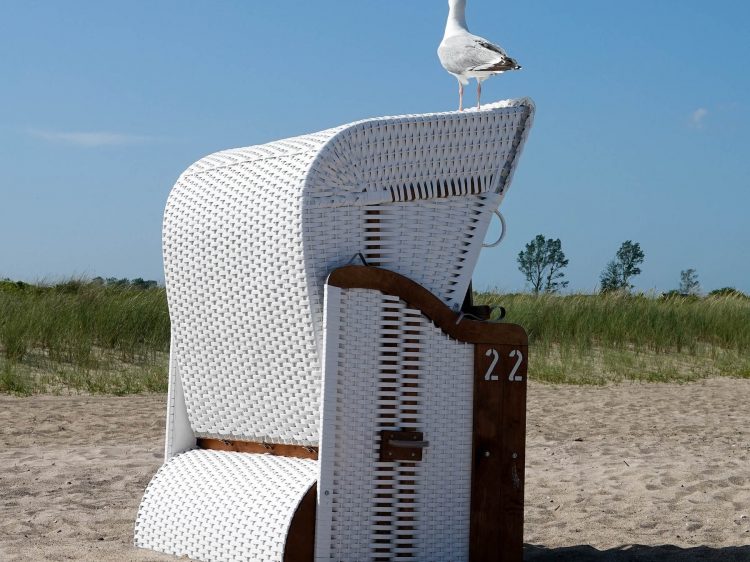 Sommer-Wochenende suelovesnyc_weekly_update_sommer_wochenende_ostsee_weidefelder_strand_kappeln