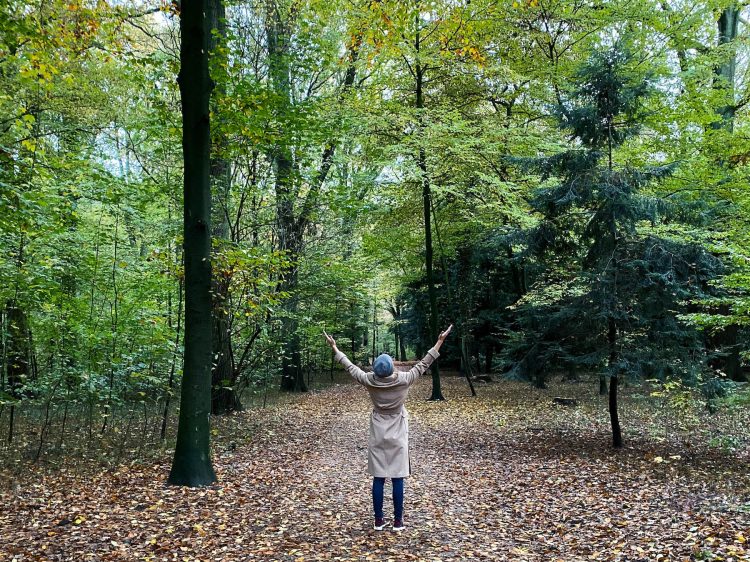 Gründe sich über den Herbst zu freuen suelovesnyc_hamburg_stadtpark_susan_fengler_weekly_update_grunde_sich_uber_den_herbst_zu_freuen