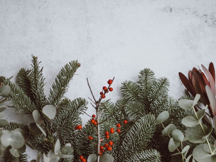 suelovesnyc_weihnachten Weihnachten