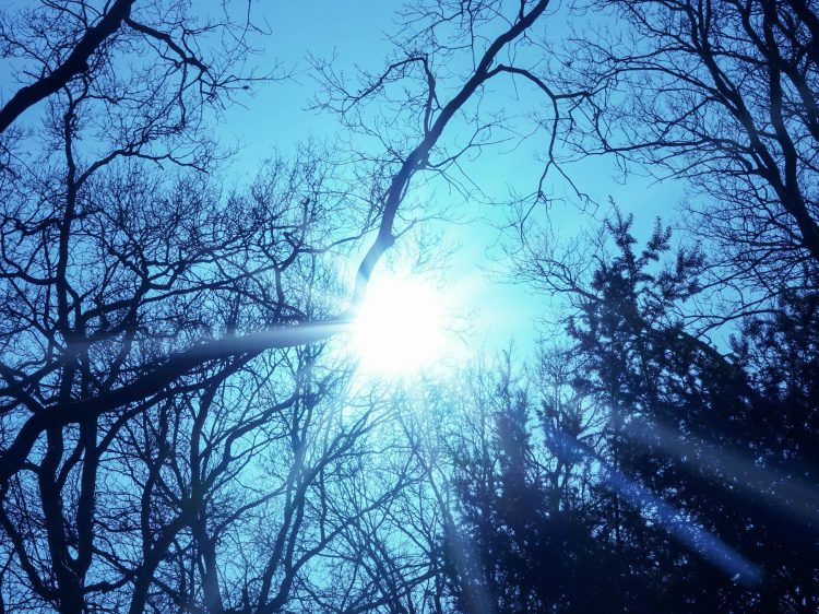 suelovesnyc was mir gerade hilft Hamburg sonne suelovesnyc_weekly_update_was_mir_gerade_hilft