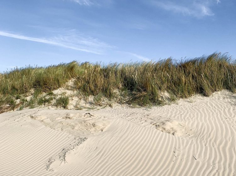 Wochenende in sankt peter-ording spo_suelovesnyc_tipps_wochenende_in_sankt_peter_ording_st_peter_ording_strand