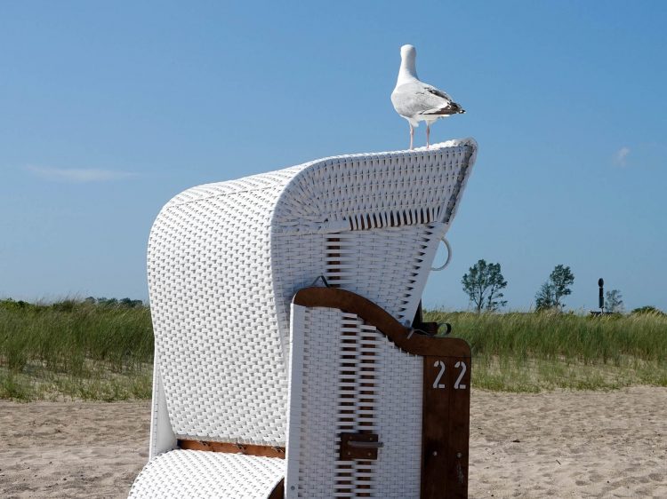 Urlaub in Deutschland Ostsee Urlaub suelovesnyc_ostsee_urlaub_in_deutschland