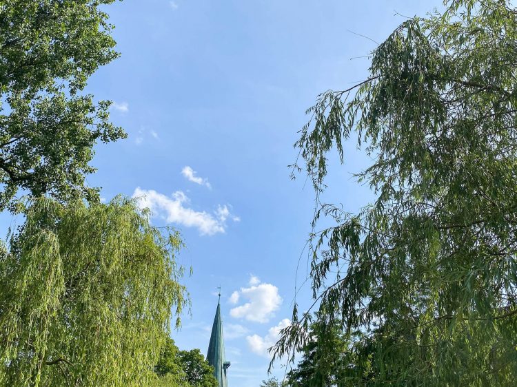 Selbstfürsorge mich selbst priorisieren suelovesnyc_weekly_update_selbstfursorge_selbstfuersorge_mich_selbst_priorisieren