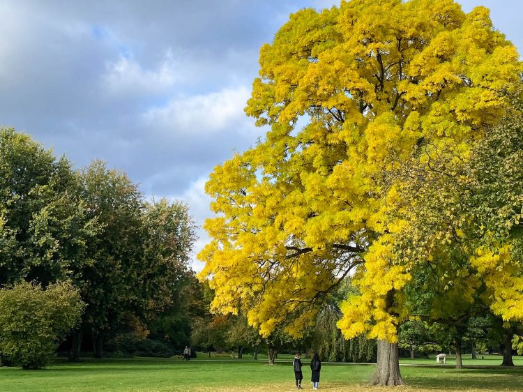 priorisieren suelovesnyc_priorisieren_alster_hamburg_weekly_update