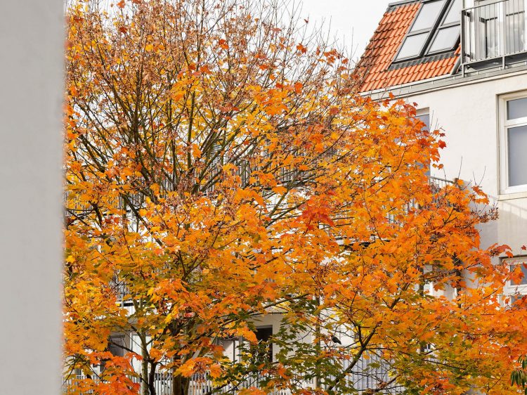 ruhe ins chaos suelovesnyc_weekly_update_herbst_hamburg_ruhe_ins_chaos