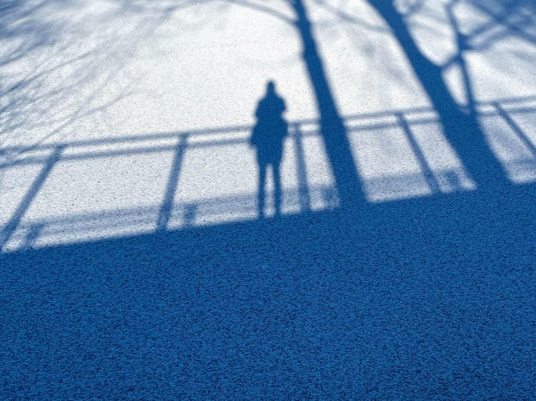 suelovesnyc_weekly_update_alster_zugefroren_winterzauber_hamburg_alster