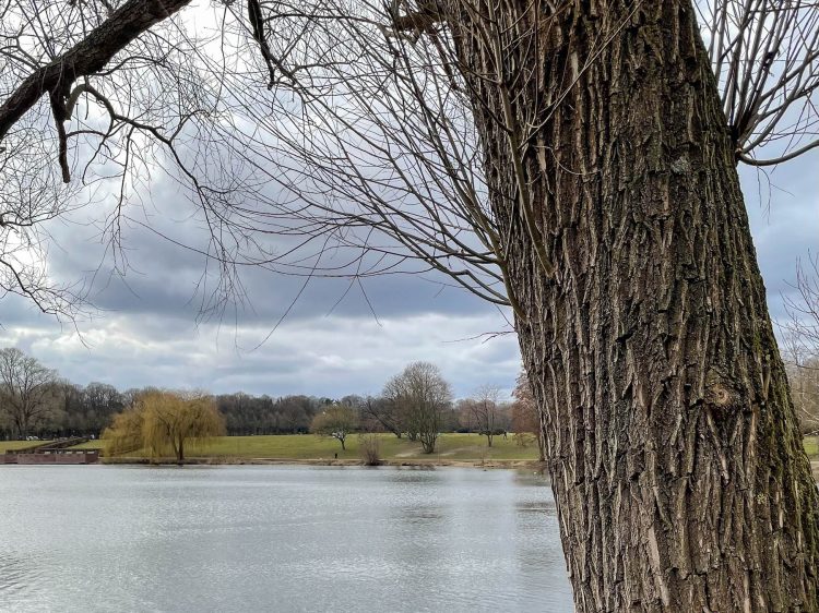 mir fehlen die worte suelovesnyc_weekly_update_hamburg_stadtpark