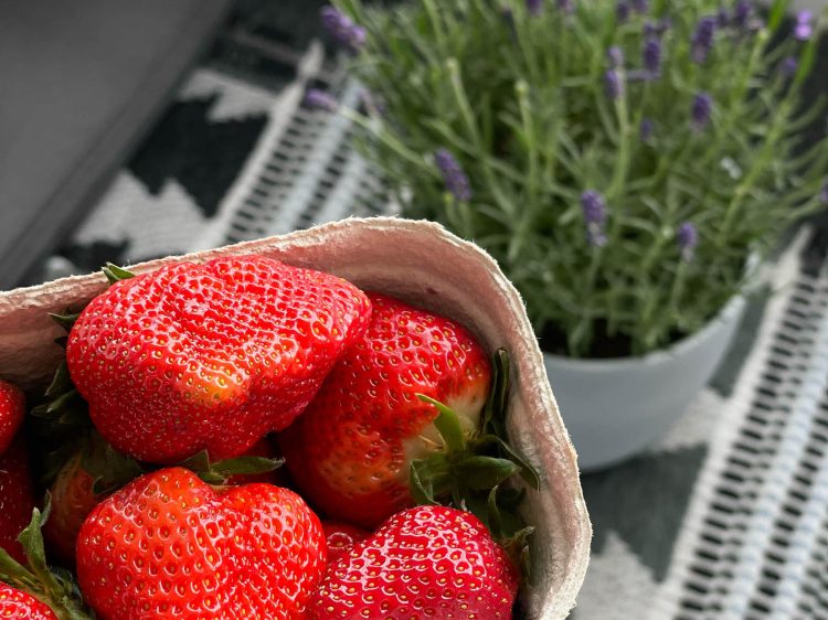 suelovesnycy_weekly_update_hamburg_susan_fengler_slow_morning_erste_erdbeeren slow morning