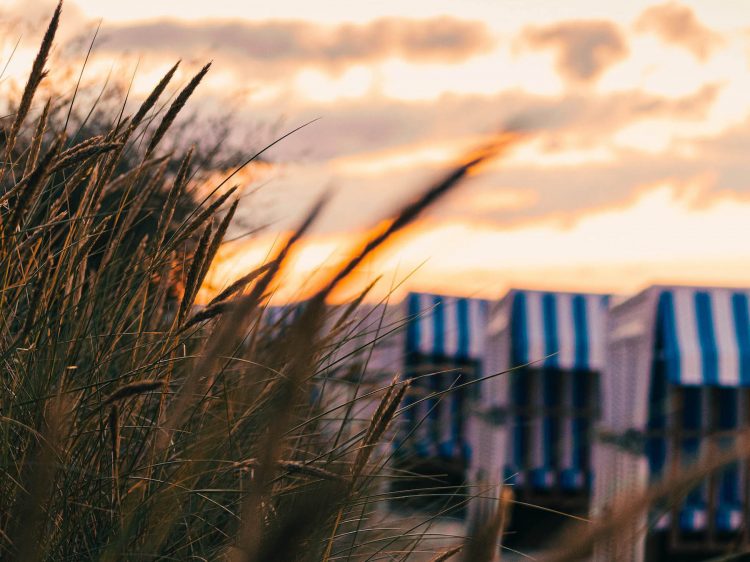 suelovesnyc_sommer_life_at_30_Ostsee_strandkorb