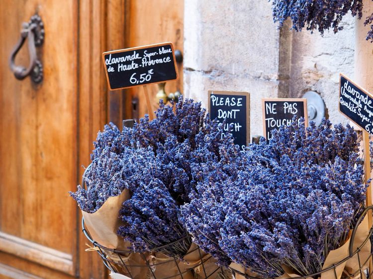 suelovesnyc_weekly_update_provence_grrasse_sehnsucht