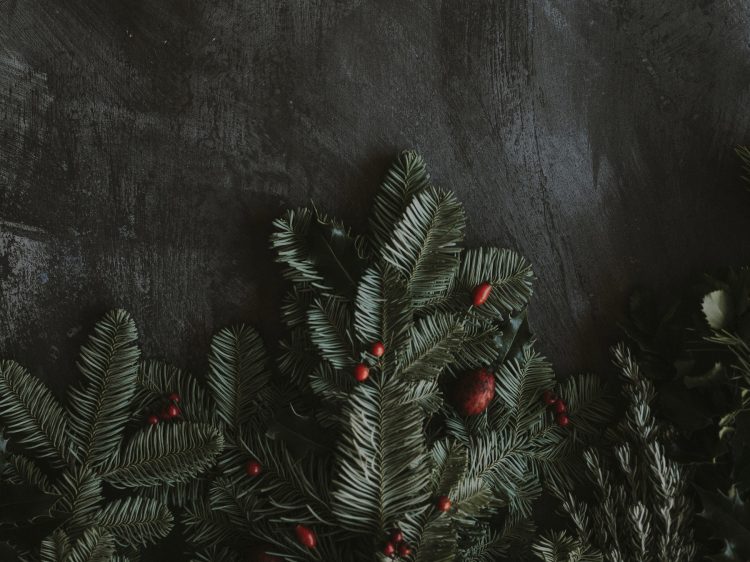 suelovesnyc_susan_fengler_Weihnachten_faellt_aus_life_at_30