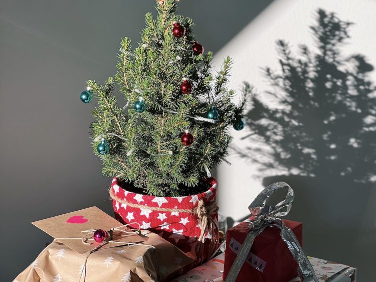 suelovesnyc_susan_fengler_weekly_update_tisch_weihnachtsbaum_zwischen_den_jahren
