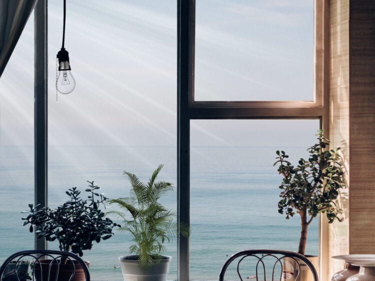 suelovesnyc_susan_fengler_Vorteile_einer_tageslichtlampe_stressmanagement_achtsamkeit_hamburg Vorteile einer Tageslichtlampe Tipp