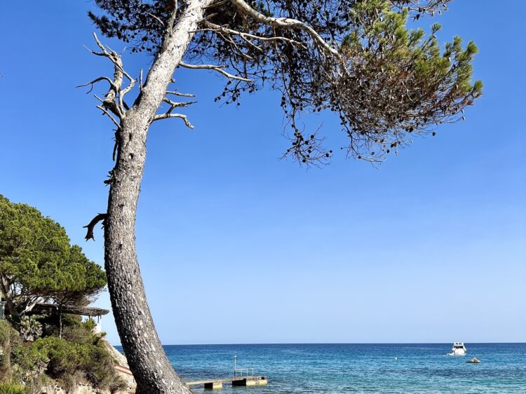 suelovesnyc_mallorca_strand_tipps_Mallorca_straende_im_osten_von_mallorca_canyamel