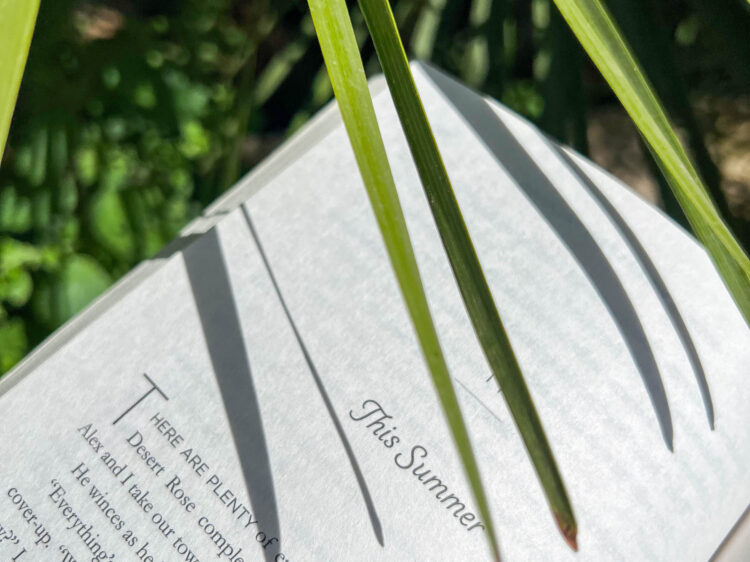 suelovesnyc_susan_Fengler_sommer_buch_tipps_2022_buecher_fuer_den_sommer_2022