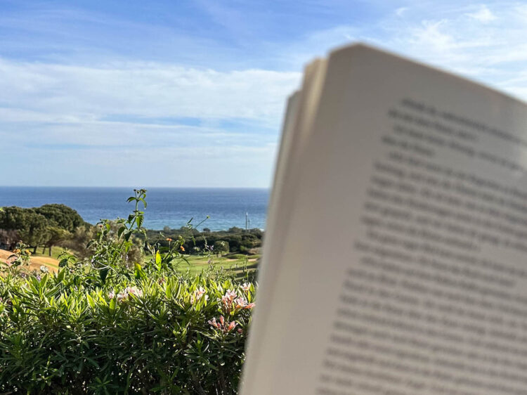 suefengler_juli_update_sue_fengler_sommer_buch_Sommer_buecher