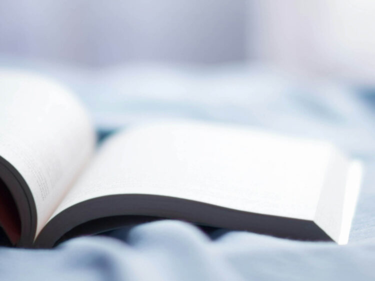 buch_sue_fengler_Suefengler_Susan_Fengler